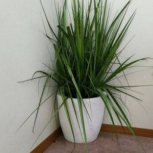 Faux grass in planter